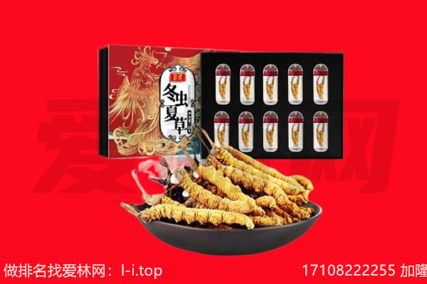 百色市右江回收虫草.jpg